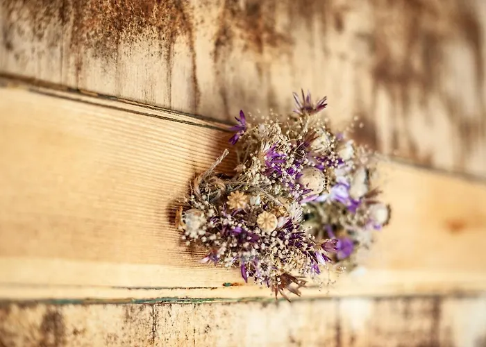 Gorzelnia مزرعة للإقامة